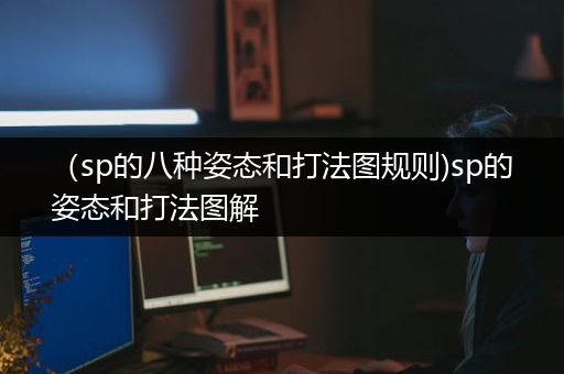 （sp的八种姿态和打法图规则)sp的姿态和打法图解